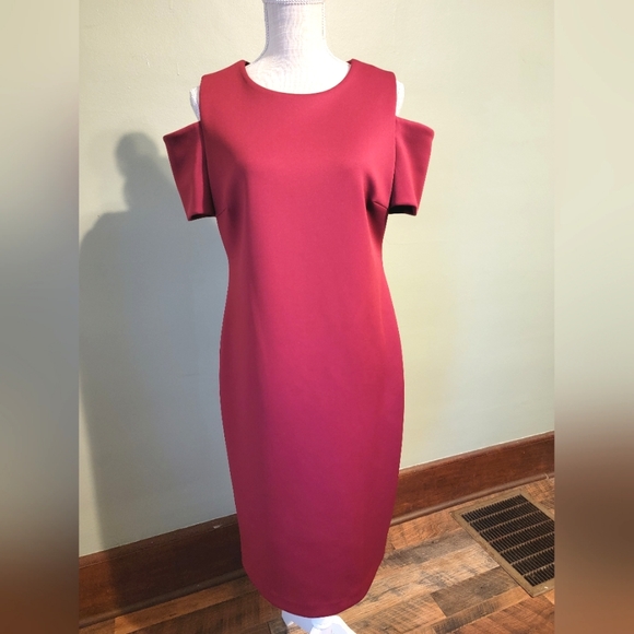 Burgundy Calvin Klein Dress Size 12 Party Wedding Guest Mom of Bride E4 - Picture 1 of 8